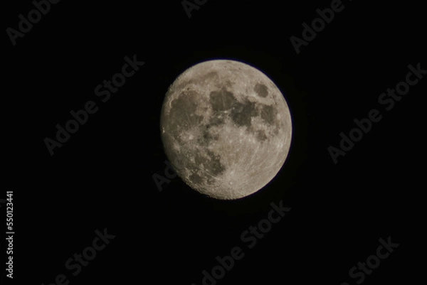 Obraz moon in the night