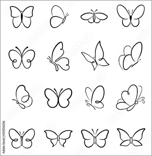 Fototapeta Prosty motyl Owtrys wektor wektor SVG Line Art