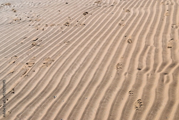 Fototapeta Sand texture background, with foot steps. Wet wavy sand on a wet beach. 