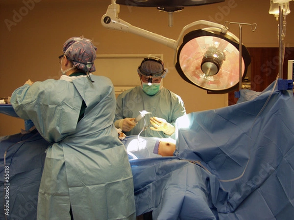 Obraz surgeon working during implant surgery