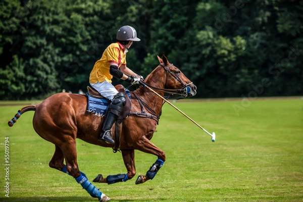 Fototapeta Polo Player