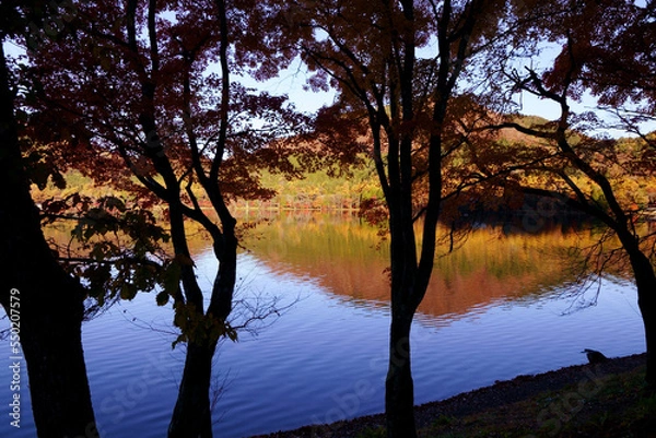 Fototapeta 秋の榛名湖