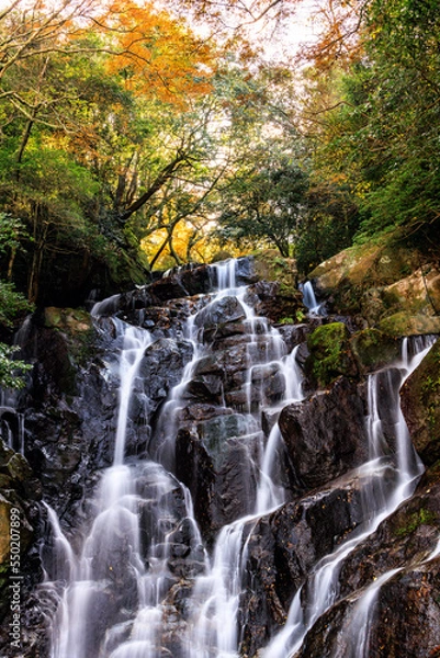 Obraz 白糸の滝　福岡県