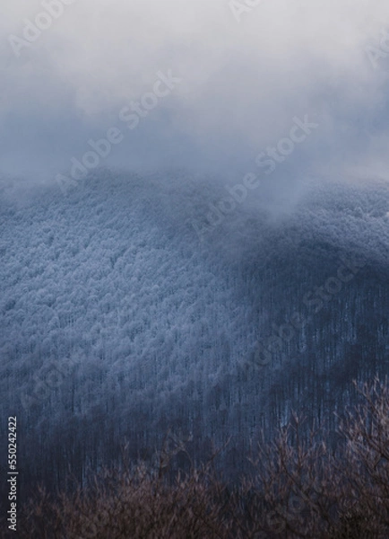 Obraz Beginning of winter