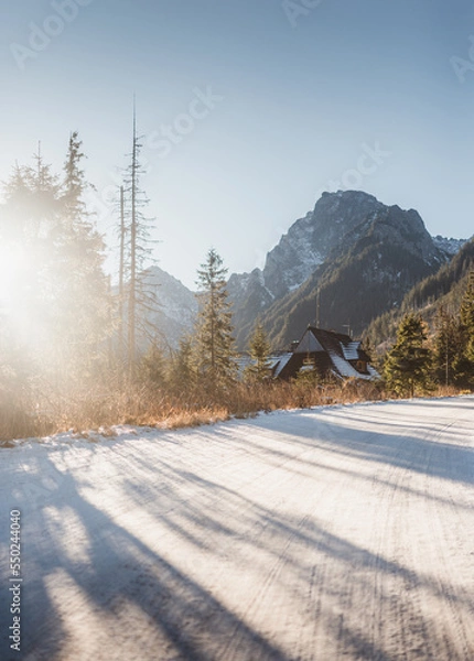 Obraz road in winter