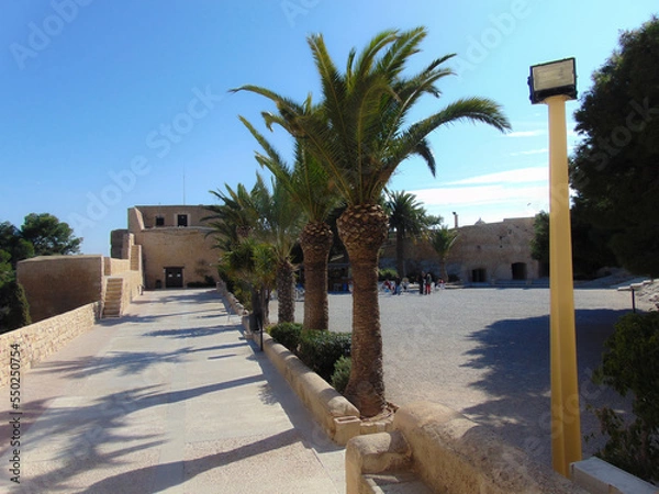 Obraz trees in the city