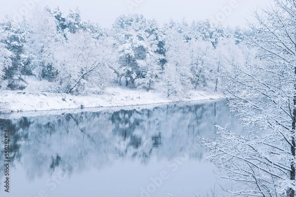 Fototapeta  snow-covered bank of the Viliya river in the Smorgon region in Belarus. Beautiful snowy landscape with a river