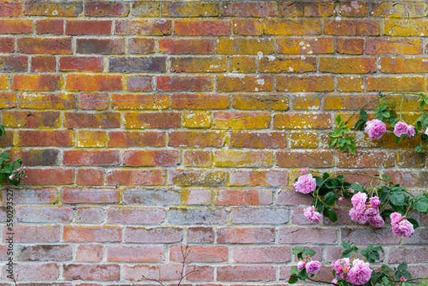 Obraz Brickwall Copy Space with Flowers