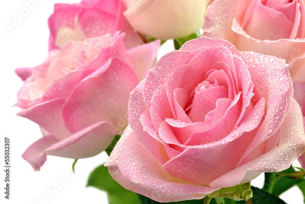 Obraz Śliczne mokre róże