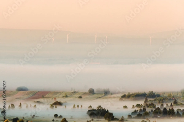 Obraz mist in the morning