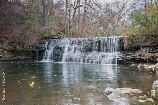 Obraz Waterfall in the forest