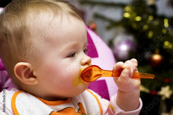 Obraz Christmas dinner