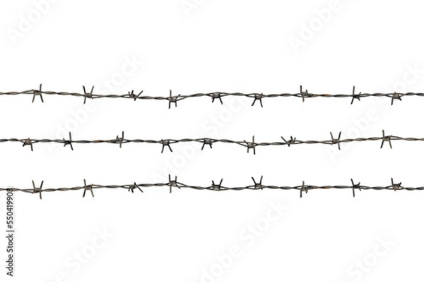 Fototapeta rusty barbed wire isolated from a lantern