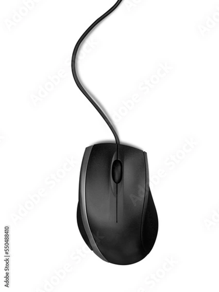 Obraz Computer Mouse