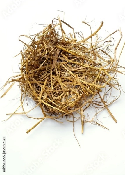 Fototapeta chaff, straw