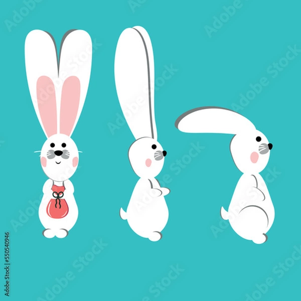Obraz White bunnies