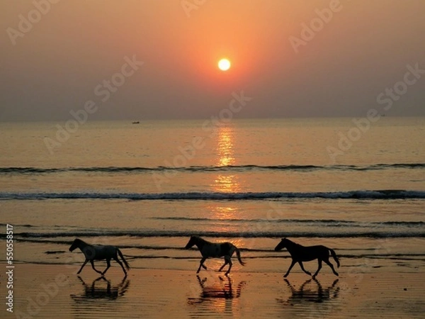Fototapeta sunset at the beach