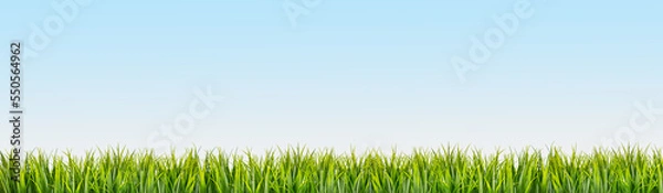 Obraz Green grass border on blue sky background