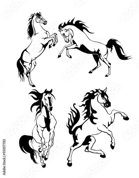 Fototapeta set of black and white tattoo in the form of a knight