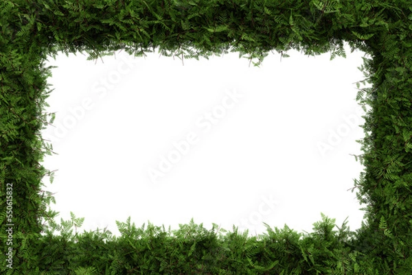 Fototapeta Green cypress leaves border isolated on transparent background - 3D Illustration