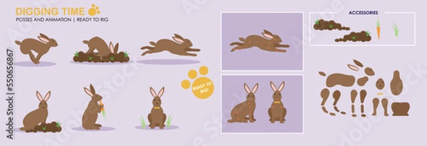 Obraz Cute brown rabbit, bunny digging with accessories ready for animation vector, collection of multiple poses and positions. Bunny digging

