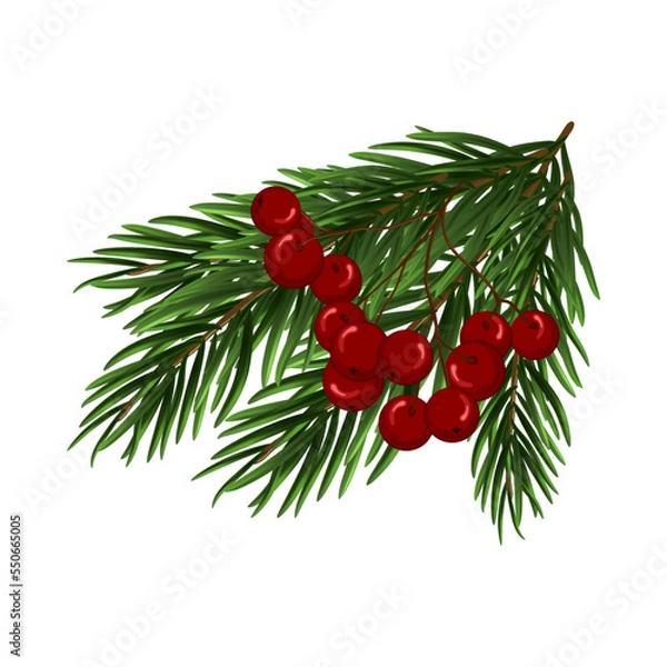 Obraz Christmas Tree Branch