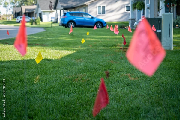 Obraz Warning flags on the green grass of a residential lawn, used to prevent injury when digging for landscaping.