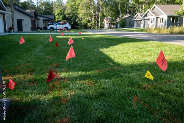 Obraz Warning flags on the green grass of a residential lawn, used to prevent injury when digging for landscaping.