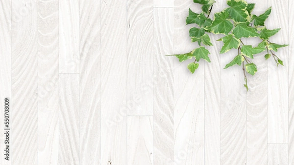 Obraz 木目背景とグリーン
