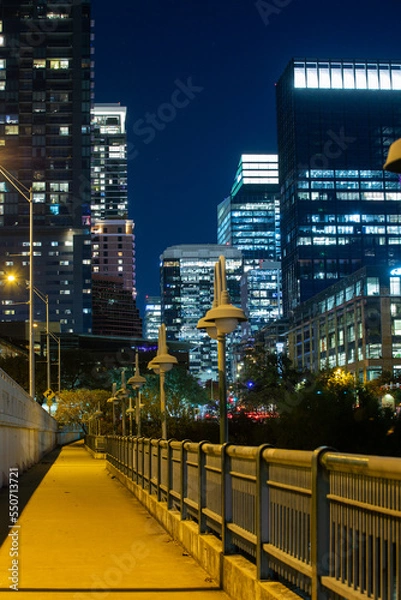 Obraz Bridge and nighttime cityscape