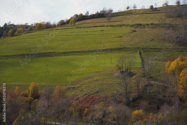 Fototapeta Beautiful view of autumn mountains forest against a blue cloudy sky in Spain on a sunny day