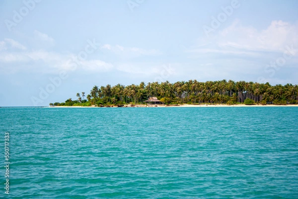 Obraz Tropical island with palm trees and sandy beach in turquoise color sea