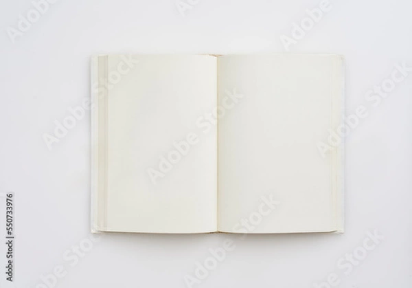 Obraz 古い本の見開き無地