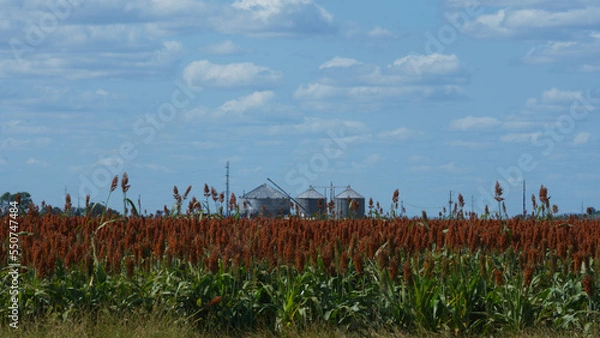 Fototapeta Countryside