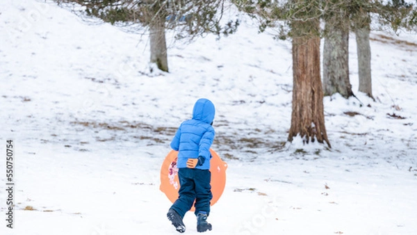 Obraz Sledding in New England