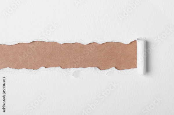 Fototapeta White ripped paper