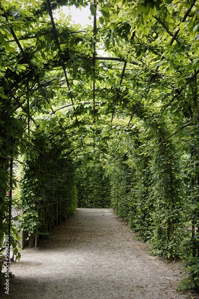 Obraz Long arch in a park