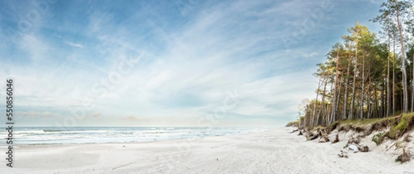 Obraz Beautiful see landscape panorama, dune close to Baltic See, Slowinski National Park, Poland
