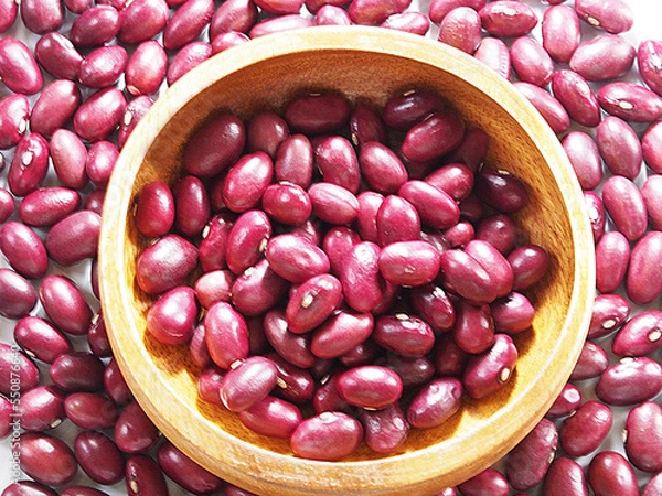 Obraz 赤紫色の金時豆