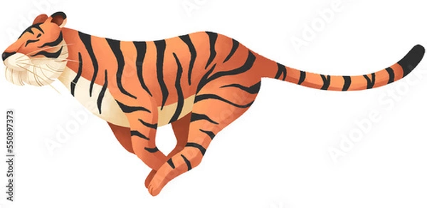 Fototapeta Running Tiger