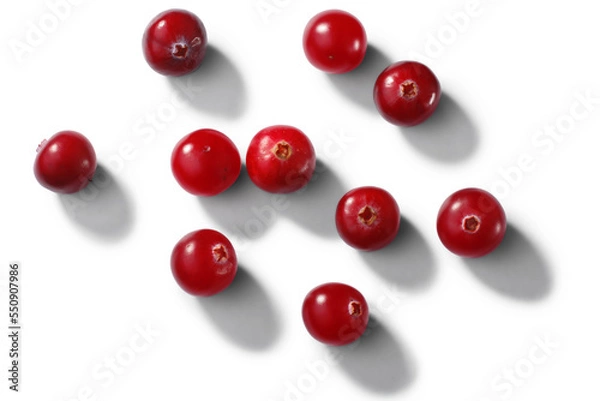 Obraz Scattered cranberries Vaccinium oxycoccus fruits, top view isolated png