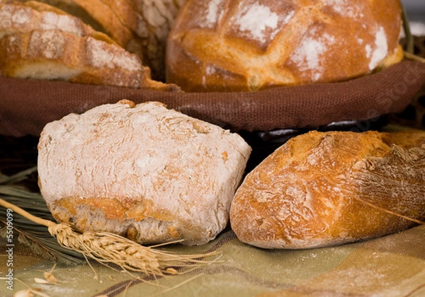 Fototapeta assortment of baked bread