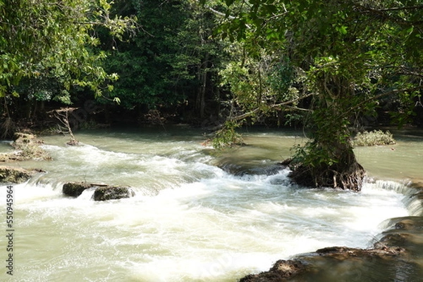Fototapeta river park 