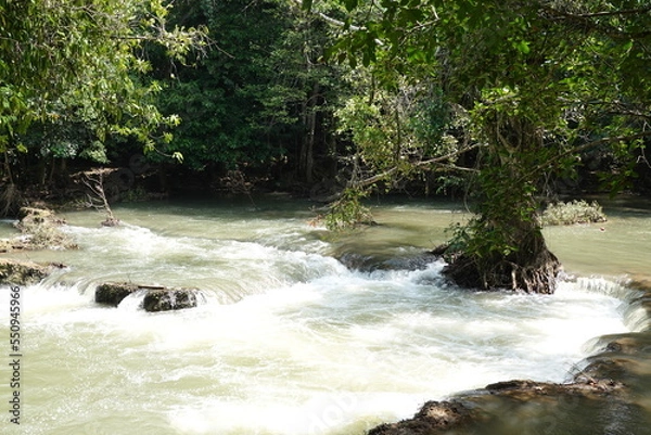Fototapeta river park 