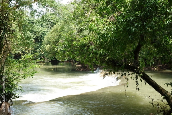 Fototapeta river park 