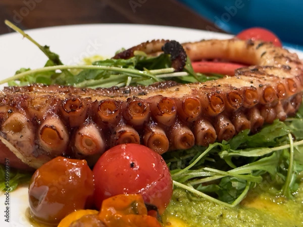 Obraz Grilled Octopus with Garnish