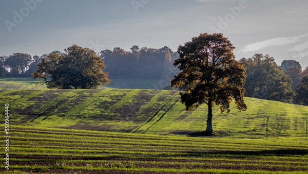 Obraz Kentish Farmland with Autumn Colours
