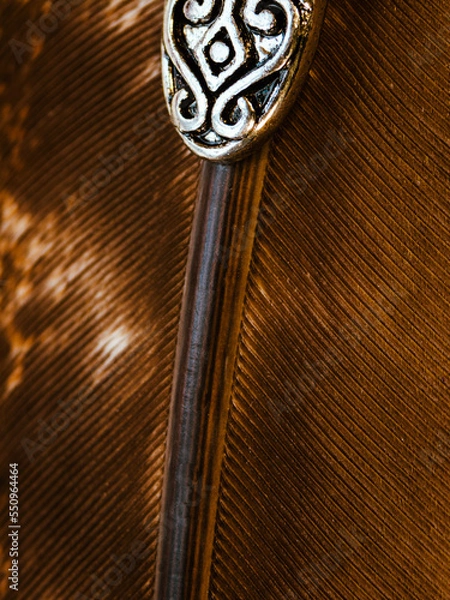 Obraz A Close Up of a feather quill