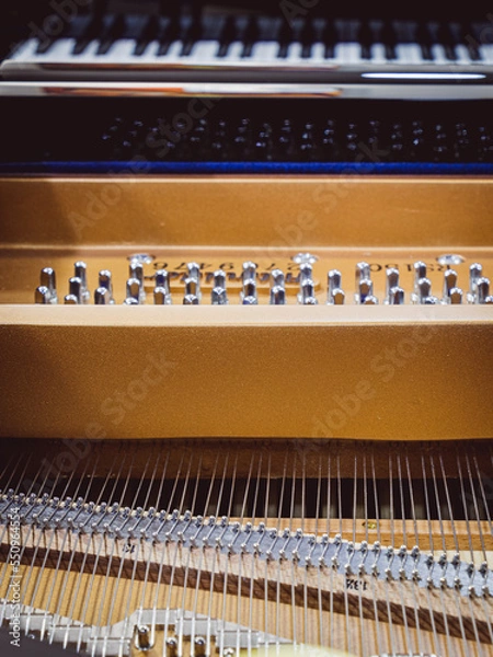 Obraz Strings of a Baby Grand Piano