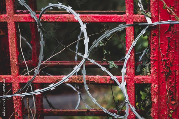 Obraz Razor wire around a classic red telephone box